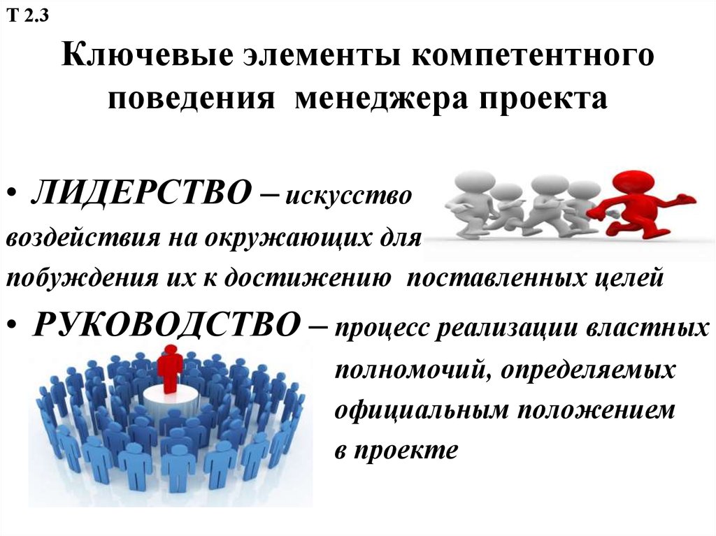 Лидерство в проекте