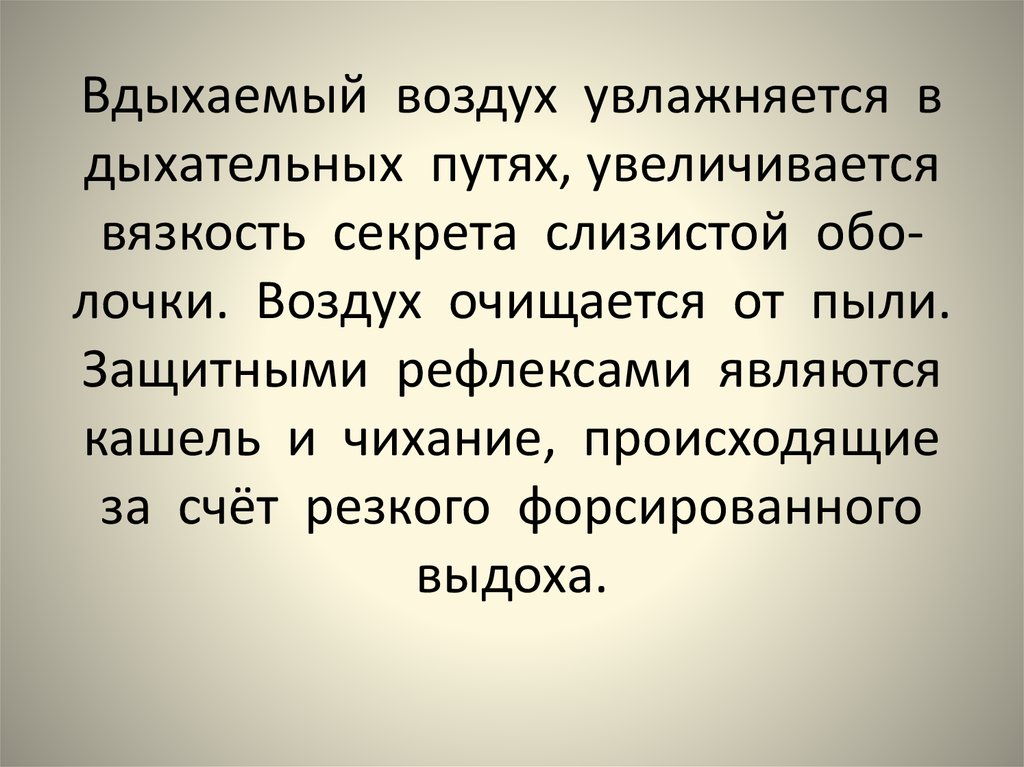 Путь вдыхаемого воздуха