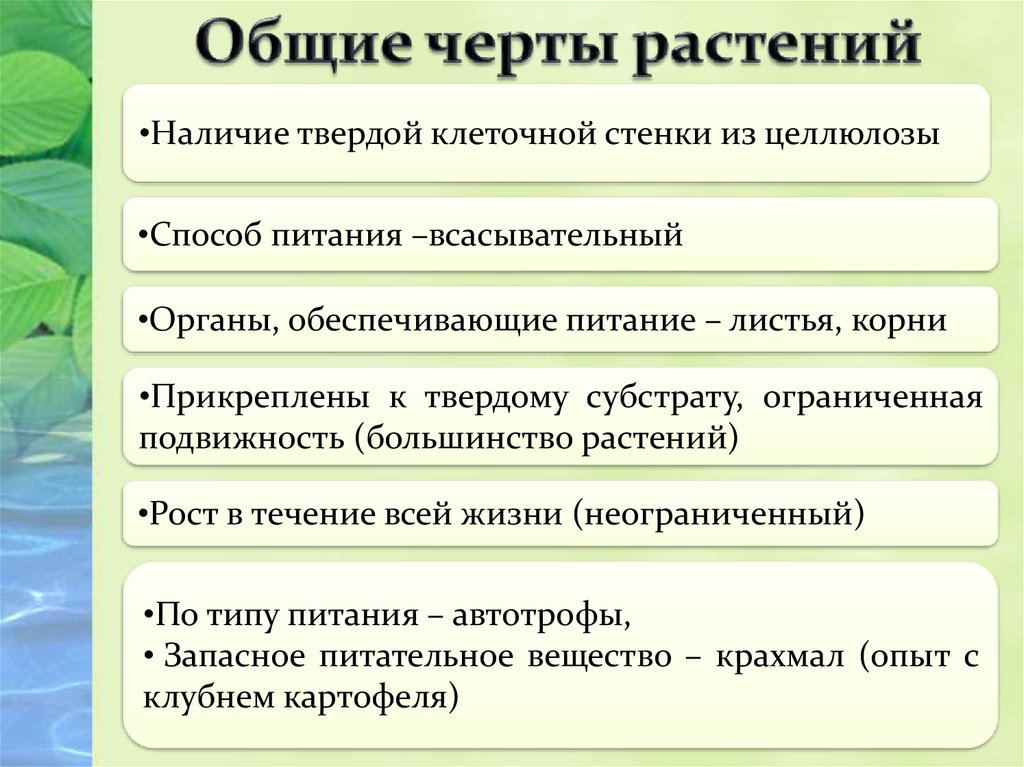 Характеристика царства растения 5 класс презентация