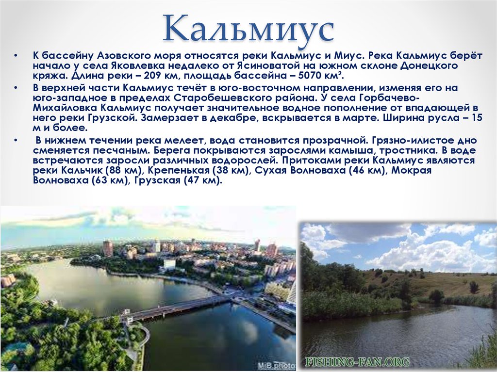 Речные воды относятся к. Река Кальмиус в Донецке. Кальмиус (река) реки Донецкой области. Бассейн реки Кальмиус. Река Кальмиус Северский Донец.