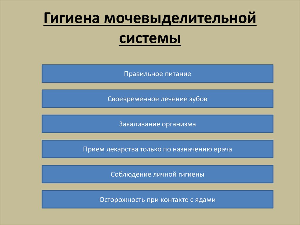 Заболевания почек 8 класс презентация