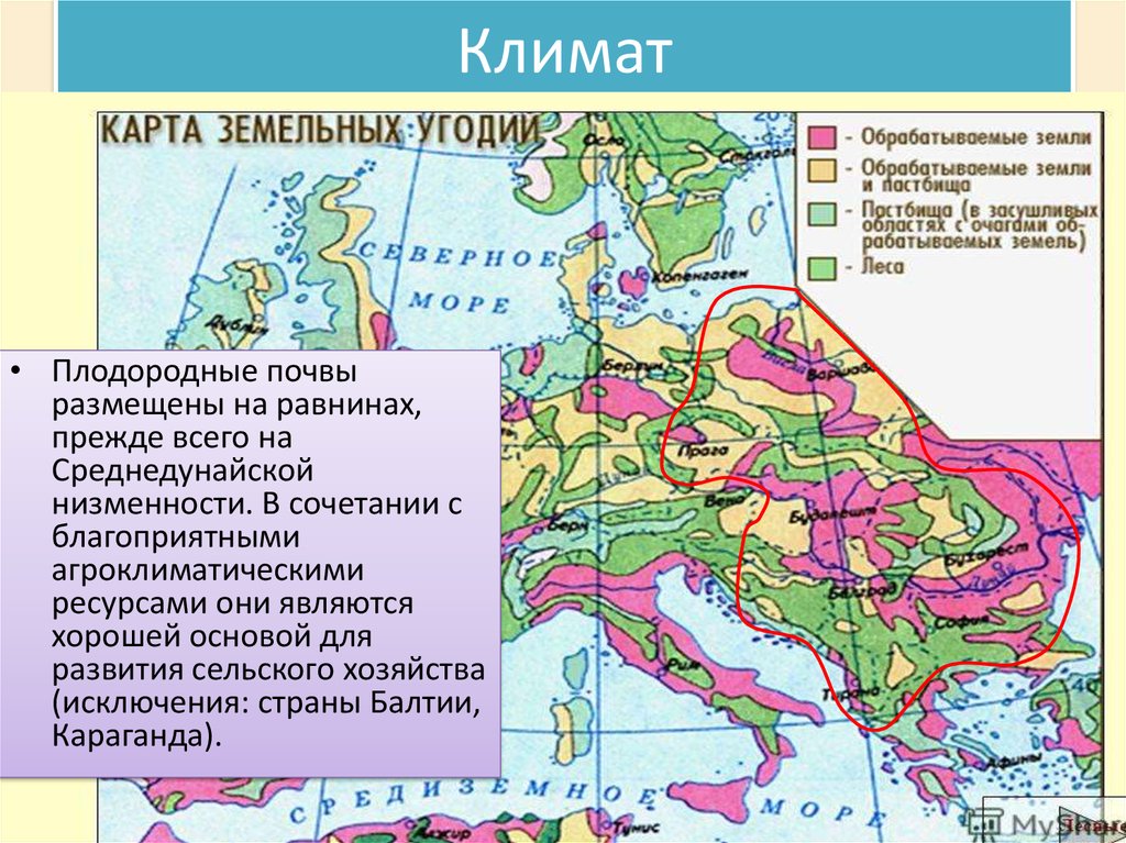 Карта плодородности почв европы