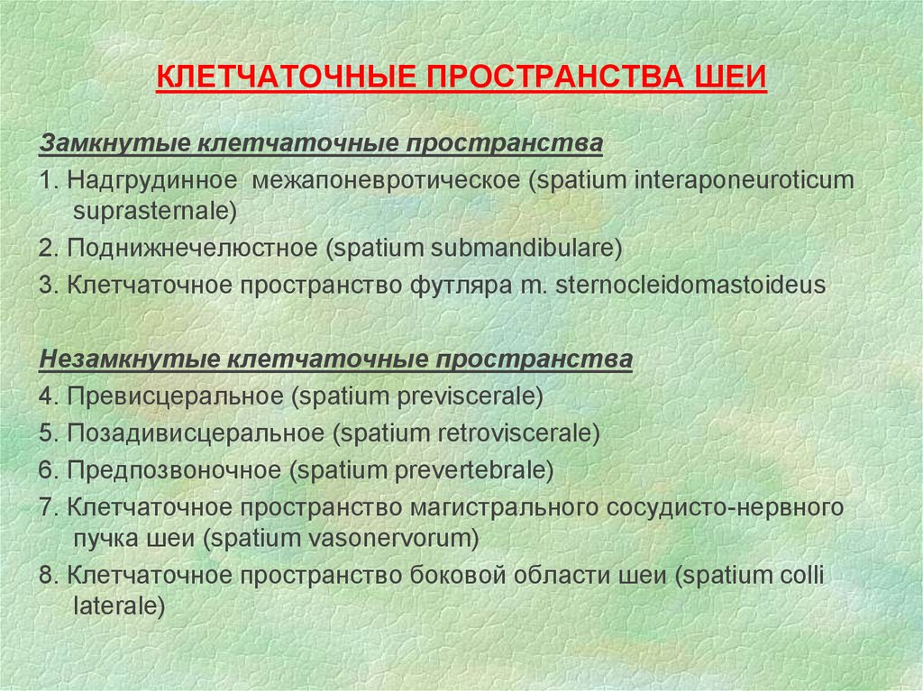 Пространства шеи. Замкнутые и незамкнутые клетчаточные пространства шеи. Относительно замкнутые клетчаточные пространства шеи. Клетчаточные пространства щеки. Незамкнутые клетчаточные пространства шеи.