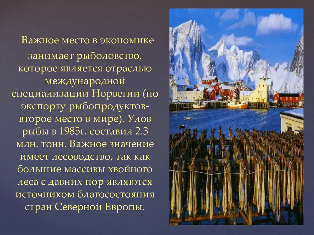 Самое важное место. Интересные факты о Норвегии. Специализация Норвегии. Экономика Норвегии презентация. Отрасли хозяйства Норвегии.