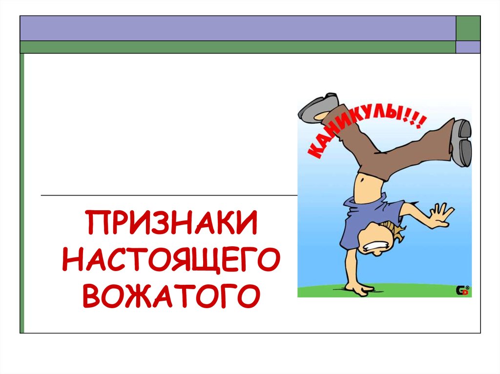 Портфолио вожатого. Образ идеального вожатого рисунок. Идеальный вожатый рисунок. Вожатый для презентации.