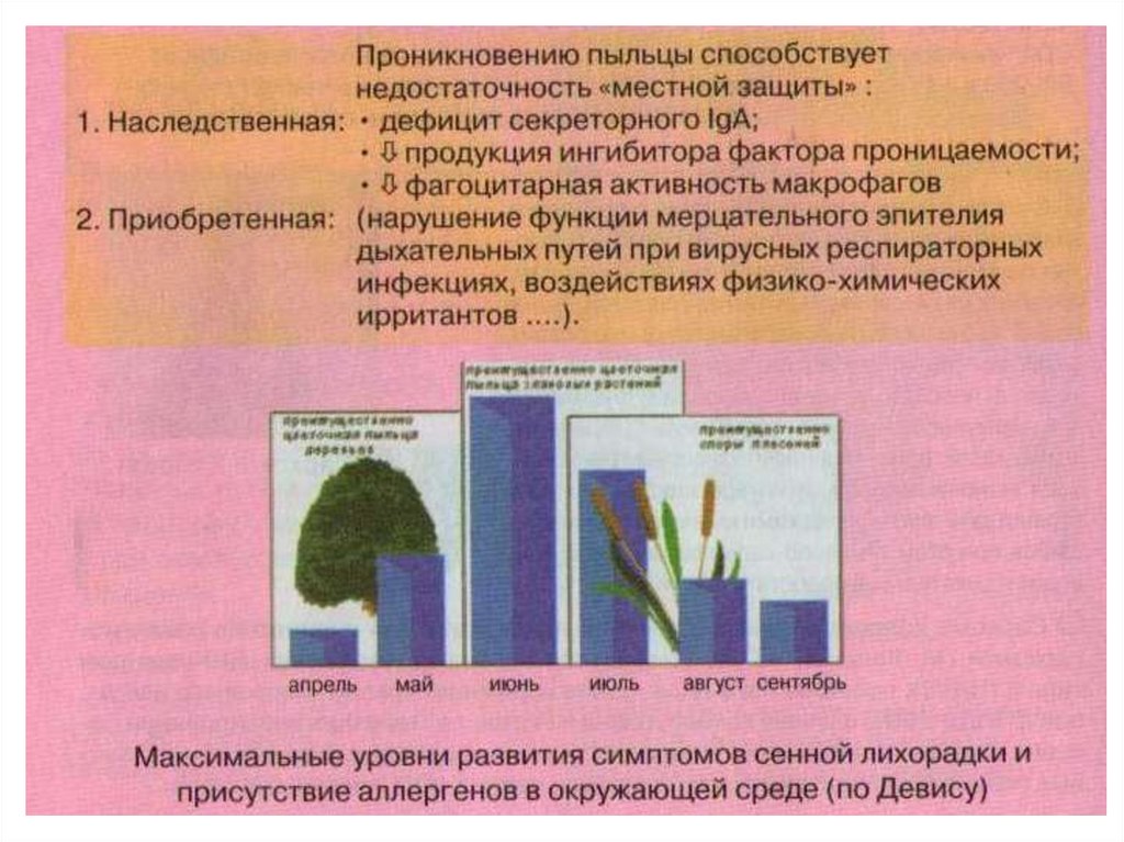 Аллергены в окружающей среде презентация