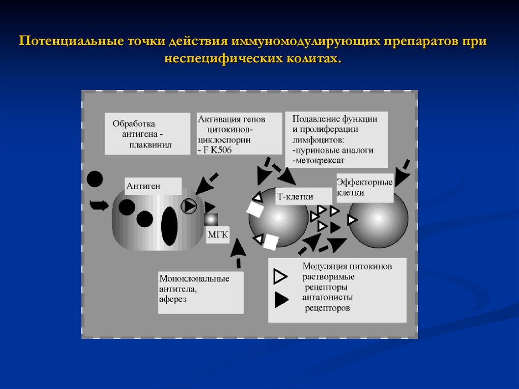 Потенциальные точки. Точка у в действии. Иммуномодулирующее действие рисунок. Иммуномодулирующие препараты при кариесе. Точки потенциального улучшения.