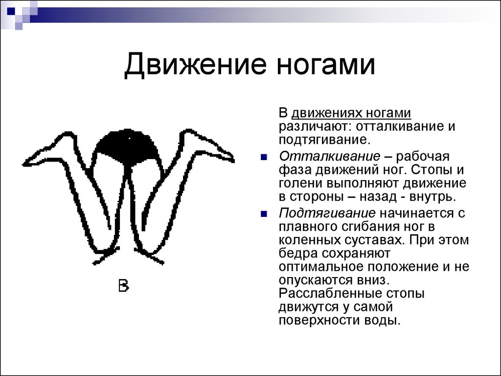 Движение конечностей. Ноги в движении. Движения стопы. Движение ног описание.