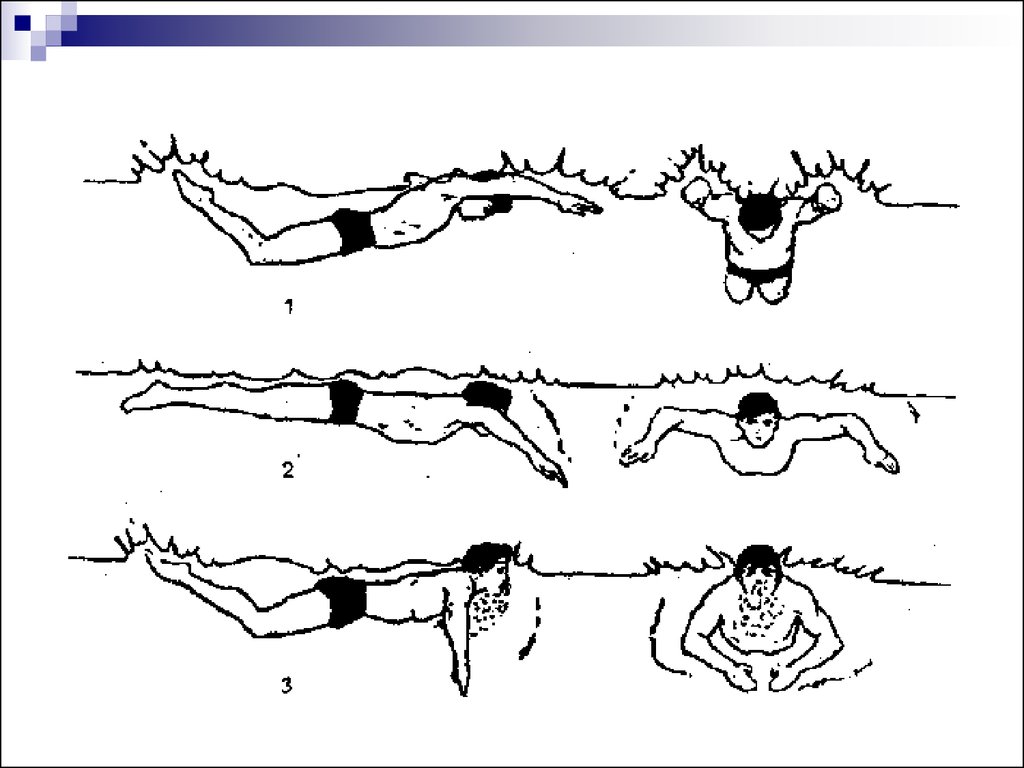 Упражнения научиться плавать. Брасс техника плавания схема. Схема обучения плавания брассом. Движения пловца брассом. Плавание брасс Баттерфляй.
