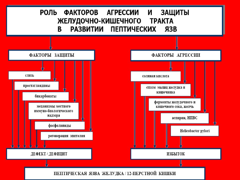 Язвенная болезнь желудка патофизиология презентация