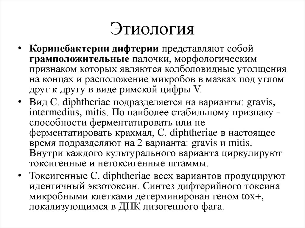 Этиология дифтерии. Дифтерия ротоглотки этиология. Дифтерия этиология патогенез. Дифтерия патогенез кратко. Дифтерия этиология эпидемиология.