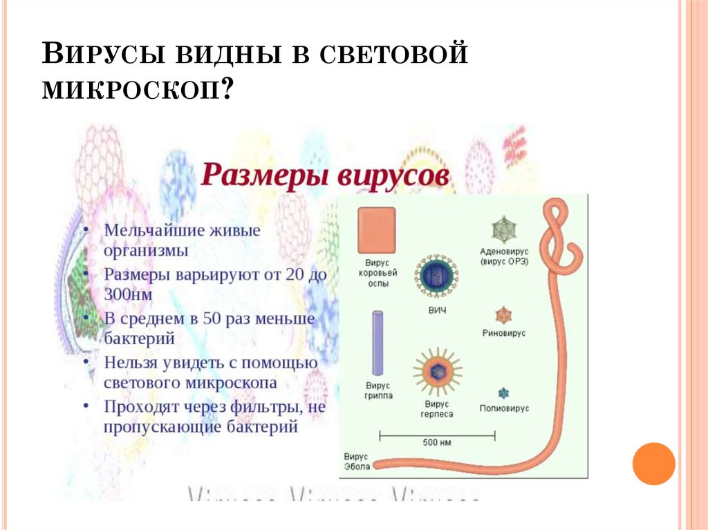 Световой микроскоп рисунок
