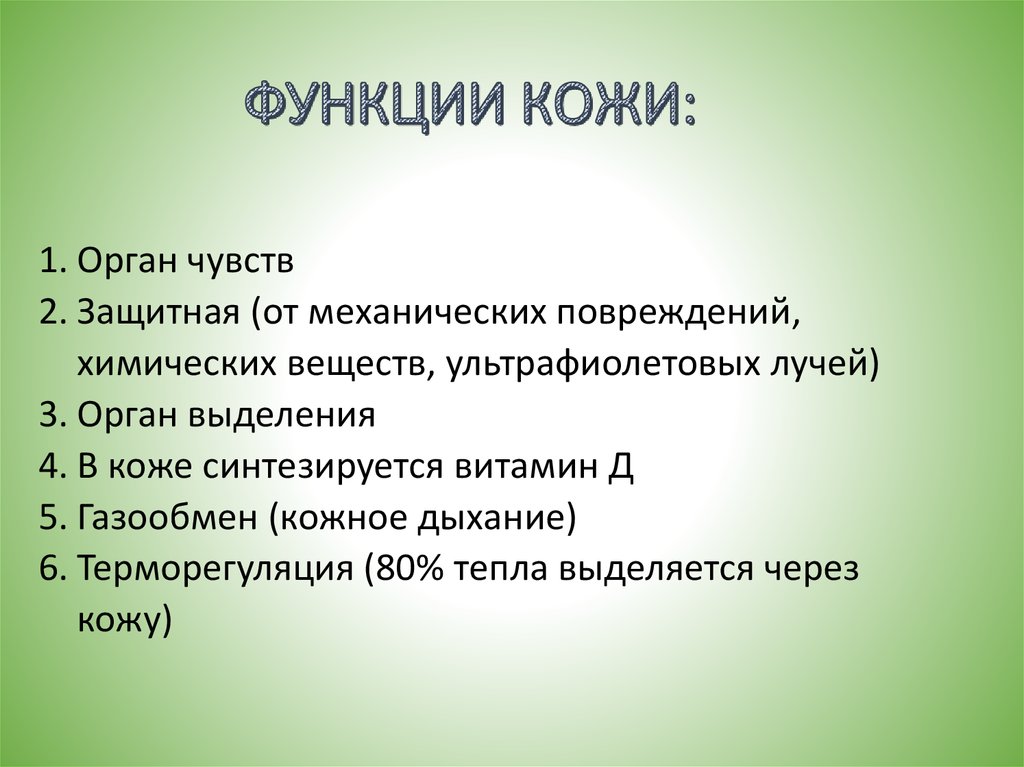 Составьте по тексту параграфа функции кожи план рассказа на тему значение кожи в терморегуляции