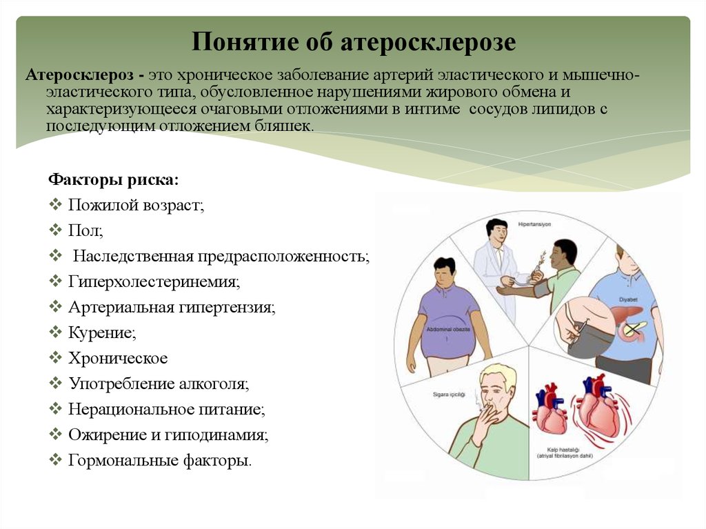 Атеросклероз презентация госпитальная терапия