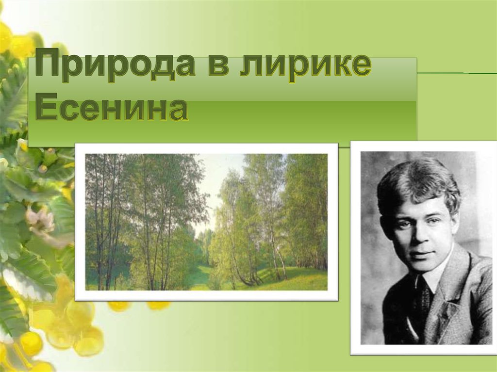 Есенин поэт природы. Природа в лирике Есенина. Тема природы в лирике Есенина. Родная природа в лирике Есенина. Русская природа в лирике Есенина.