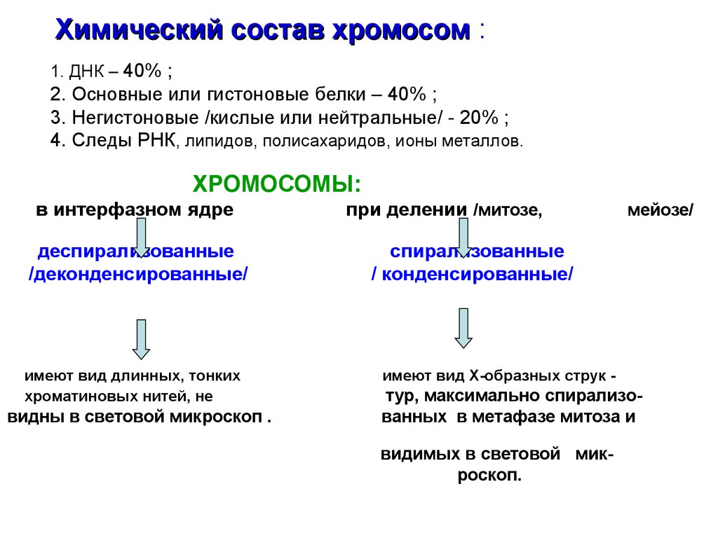 Состав хромосом. Строение и химический состав хромосом. Химическая структура хромосом. Химический состав хромасома. Химический состав интерфазных хромосом.