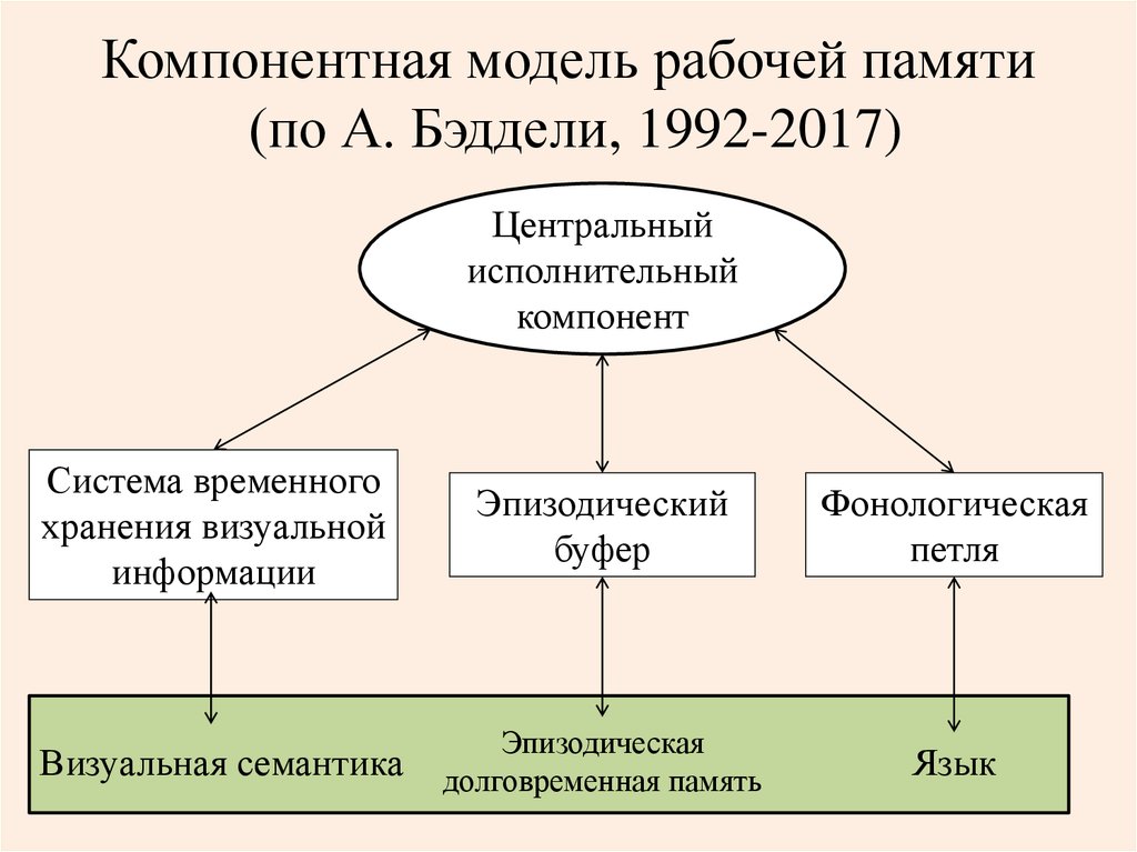 Модели памяти. Структура памяти Бэддели. Модель рабочей памяти Бэддели. Модель рабочей памяти Алана Бэддели. Современная модель рабочей памяти.