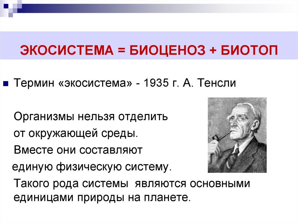 Термин экосистема. Экосистема биоценоз биотоп. Термин экосистема Тенсли. Экологическая система Тенсли. Термин биогеоценоз.