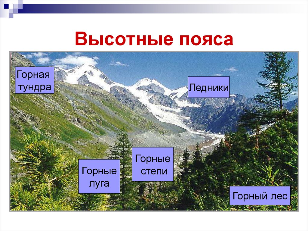 Природная зона россии области высотной поясности. Горные пояса. Области ВЫСОТНОЙ поясности России. Горные территории с ВЫСОТНОЙ поясностью. Высотные пояса.