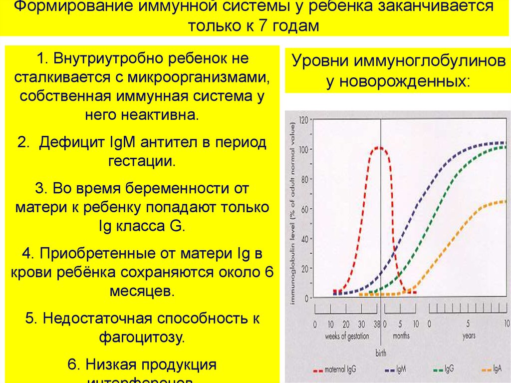 Формирование иммунитета