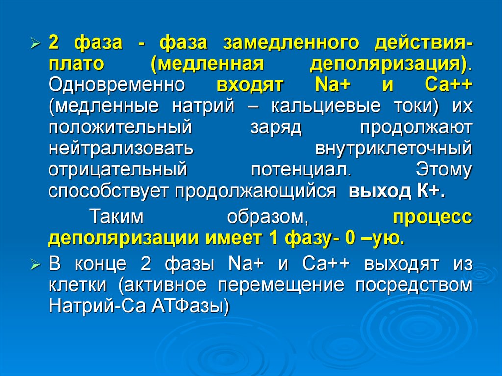 Заряд продолжать. Фаза замедления. Фаза плато. Медленные натрий кальциевые каналы. Замедленные действия.