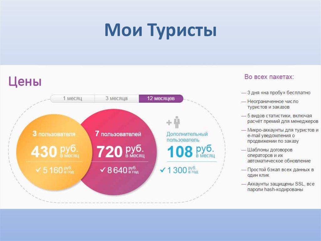 Благовещенск прайс. Мои туристы система для турагентств. Мои туристы программа. Мои туристы Разработчик программы. Актуальность системы Мои туристы.