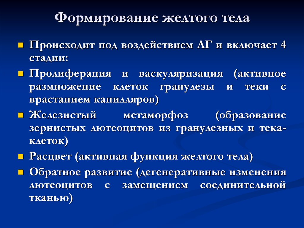 Желтое тело что это. Стадии развития желтого тела. Этапы образования желтого тела. Фазы развития желтого тела. Стадия васкуляризации желтого тела.