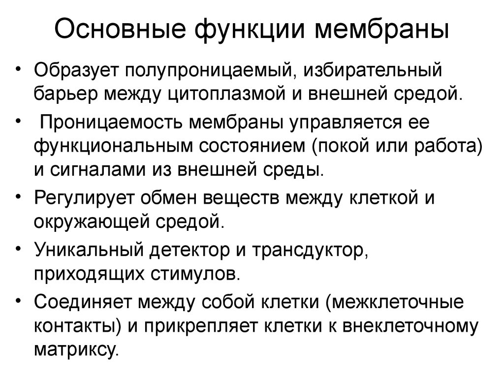 Мембрана функции. Основные свойства и функции клеточной мембраны. Основные функции мембраны. Основные функции мембраны клетки. Перечислите функции клеточной мембраны.