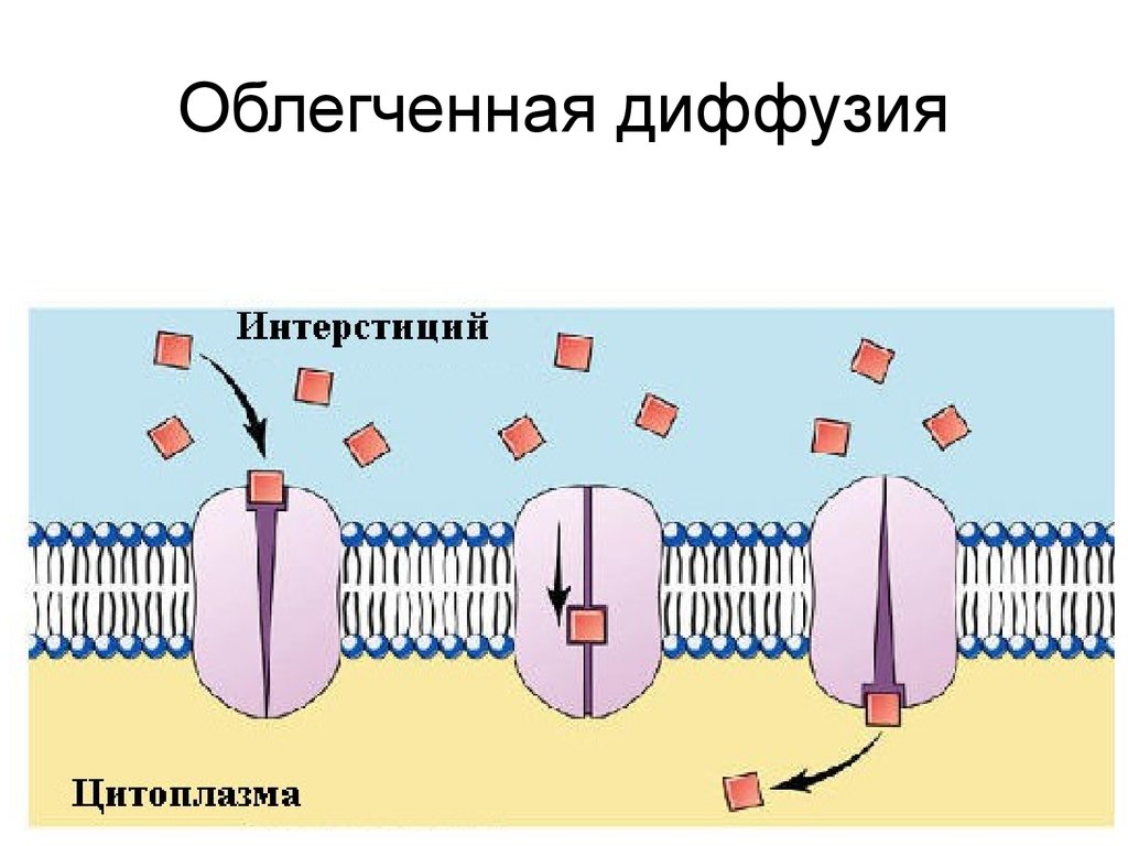 Облегченный перенос. Облегченная диффузия механизм транспорта. Облегченная диффузия через мембрану. Простая и облегченная диффузия. Схема облегченной диффузии.