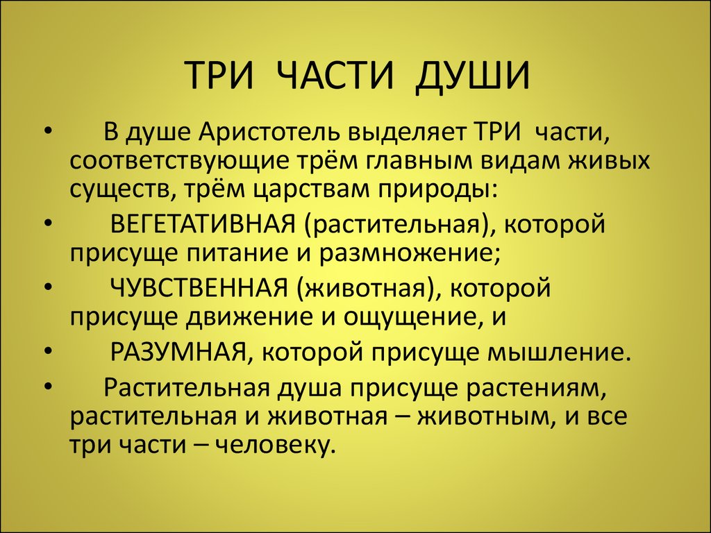 Есть ли у человека душа презентация философия