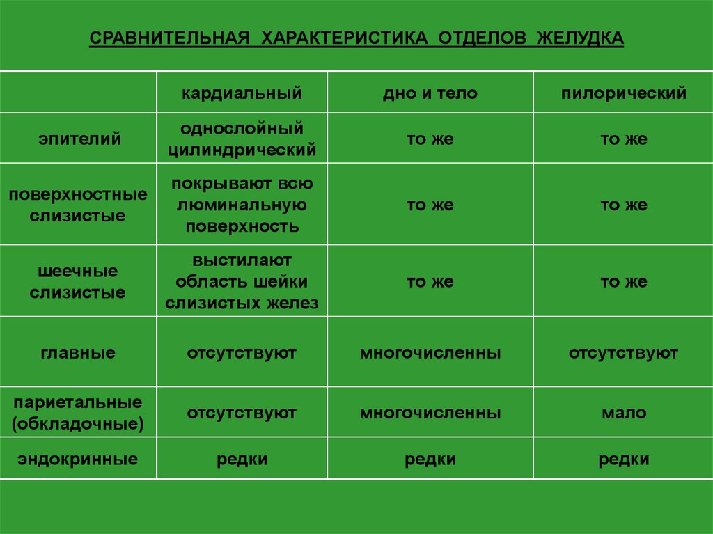 Отдел характеристика. Сравнительная характеристика отделов. Характеристика отделов желудка. Сравнительная характеристика стенки разных отделов желудка. Сравнительная характеристика пищевода и желудка таблица.