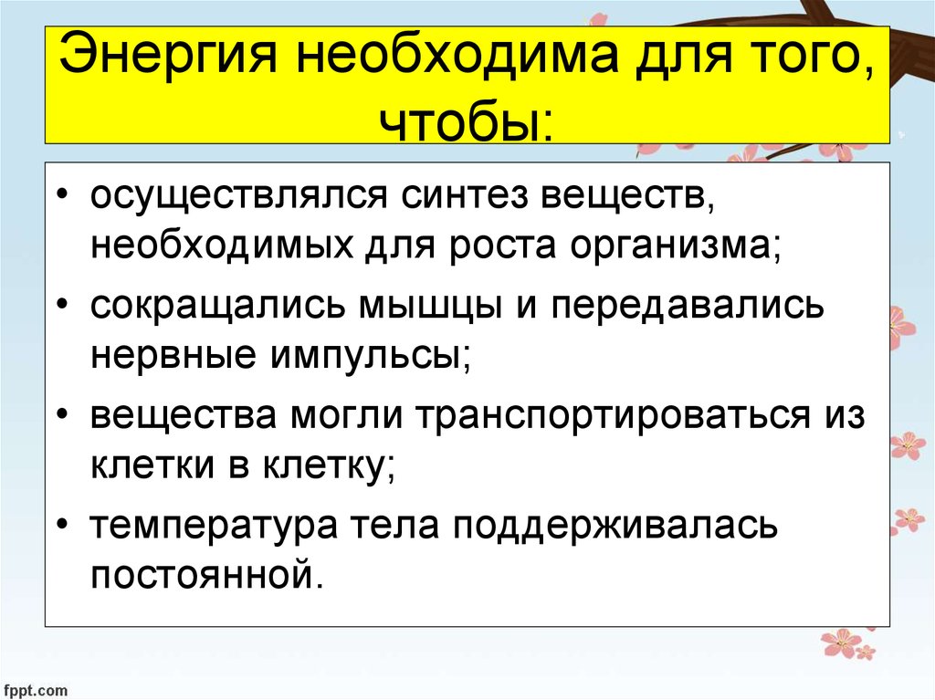 Для чего нужна энергия человеку. Энергия необходима. Для чего необходима энергия. Для чего клеткам нужна энергия. Для чего необходимо энергия.