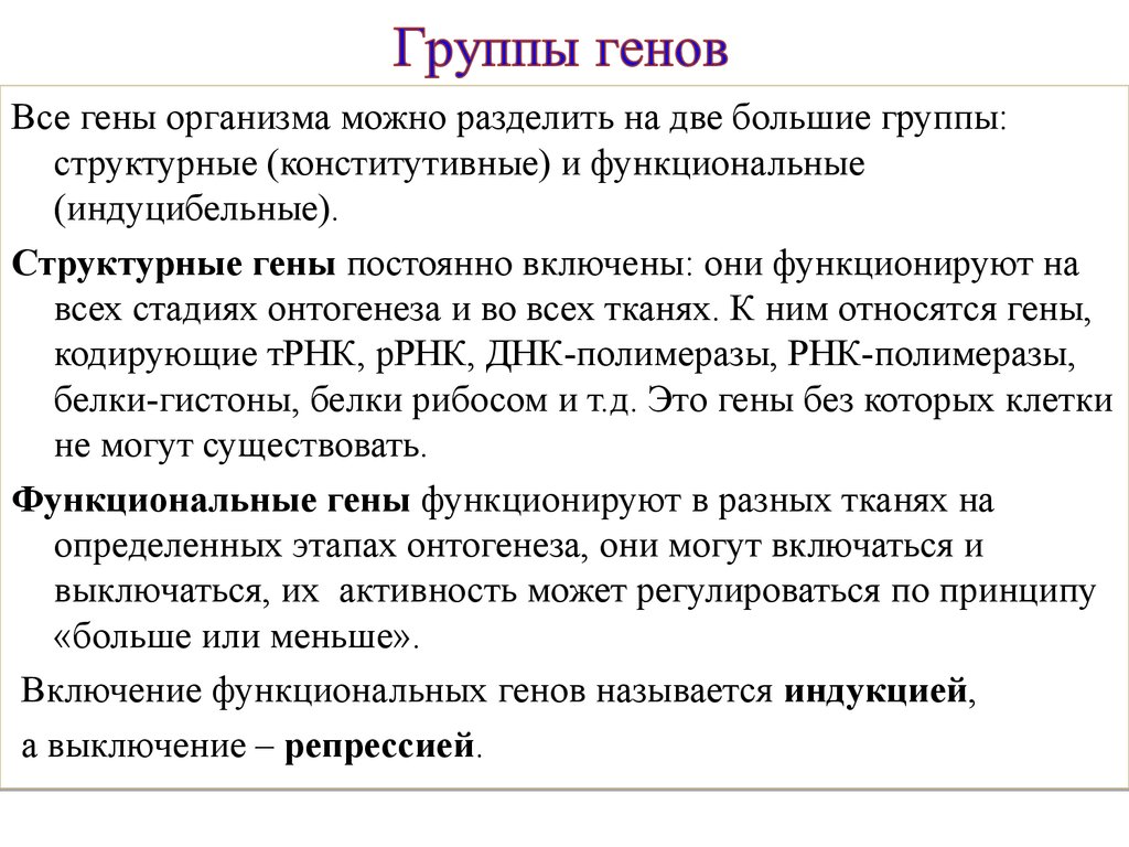 Группы генов