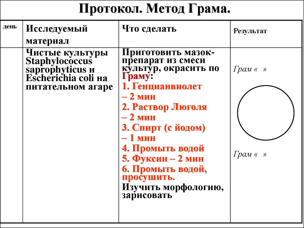 Протокол методики