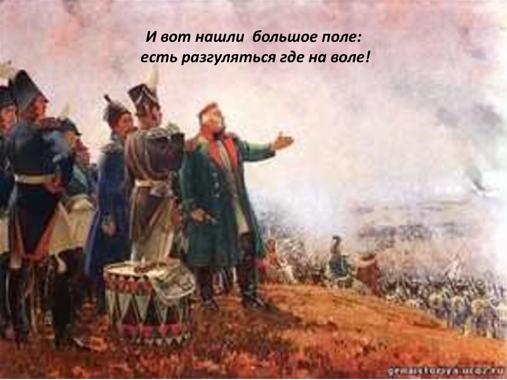 И вот нашли большое поле: есть разгуляться где на воле!