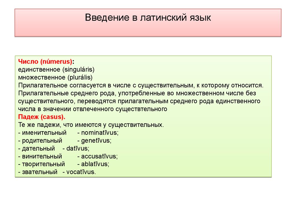 Деятельность латынь