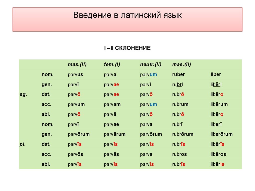 Просклонять по падежам латинские слова. 1 Склонение в латинском языке таблица.