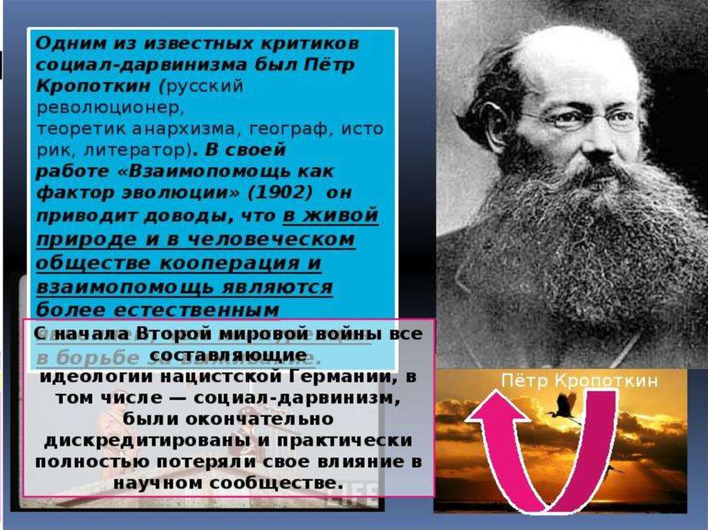 Дарвинизм факторы. Критика социал-дарвинизма. Теория социал дарвинизма. Критика положений социального дарвинизма. Взаимопомощь как фактор эволюции.