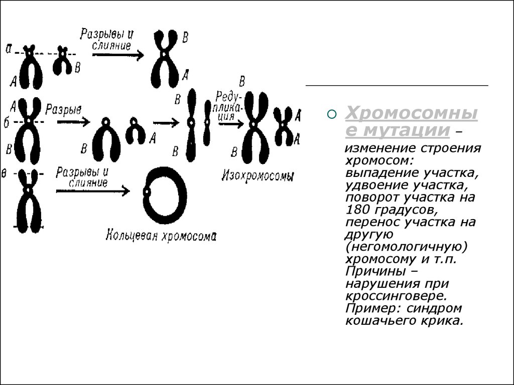Изменение строения хромосом. Болезни обусловленные изменениями структуры хромосом транслокация. Заболевания связанные с изменением структуры хромосом. Выпадение участка хромосомы вид мутации. Синдромы связанные с изменением структуры хромосом.