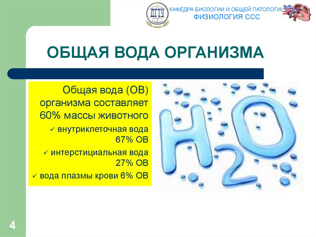 Суммарная вода. Общая вода организма. Общая жидкость в организме. Общая вода организма включает. Знак общий % воды в организме.