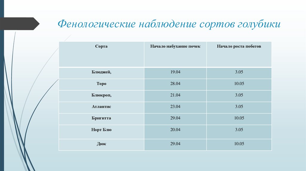 Наблюдение за растениями биология 5 класс. Фенологические наблюдения. Фенологические наблюдения таблица. Фенологические наблюдения по биологии. Дневник фенологических наблюдений.