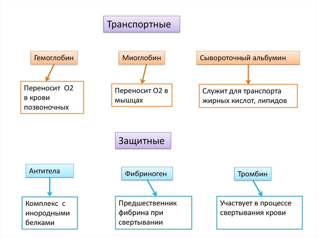 Химический состав клетки 8 класс