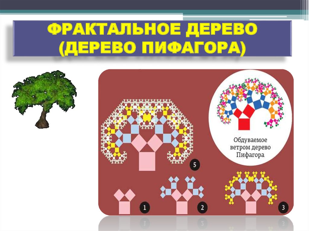ФРАКТАЛЬНОЕ ДЕРЕВО (ДЕРЕВО ПИФАГОРА)