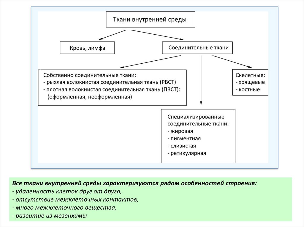 Внутренние ткани. Морфологическая классификация тканей внутренней среды. Источники развития тканей внутренней среды. Ткани внутренней среды гистология. Сравнительная характеристика тканей внутренней среды организма.