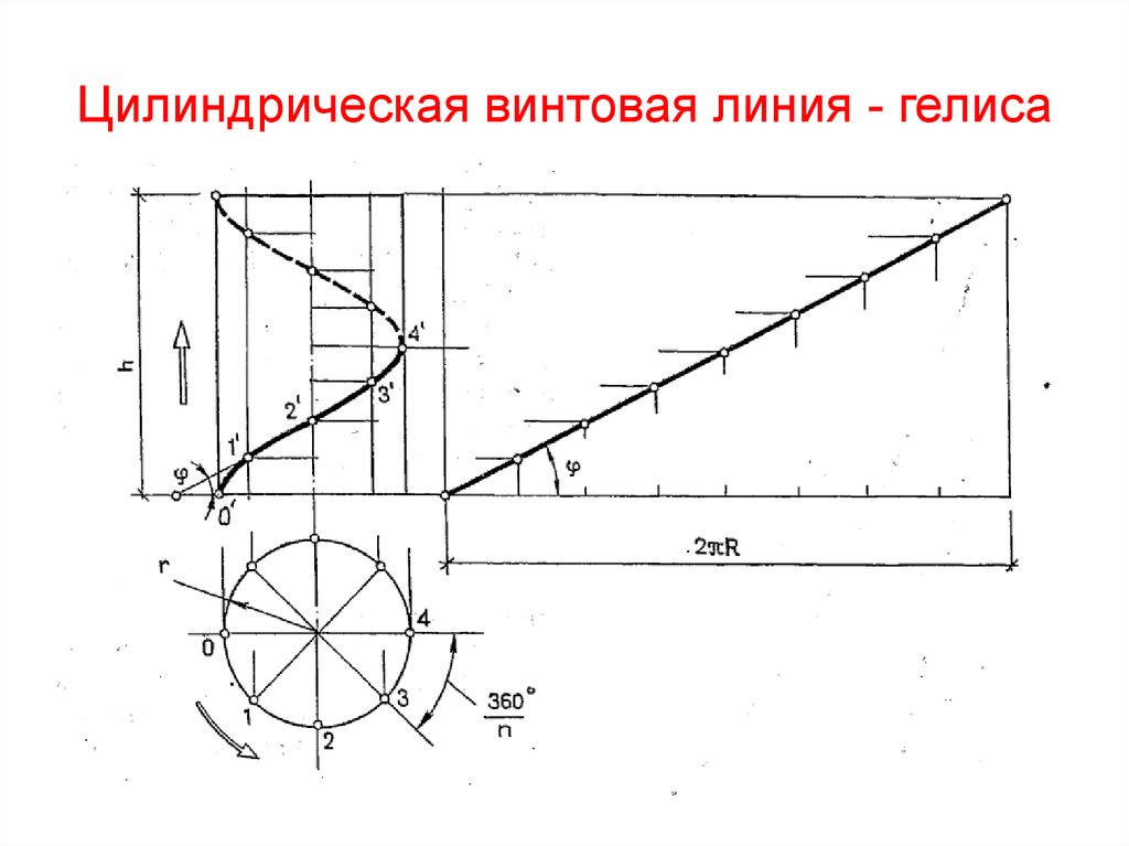 Винтовые цилиндрические поверхности. Построение конической винтовой линии. Цилиндрическая винтовая линия гелиса. Достроить изображение винтовой линии на цилиндрической поверхности. Развертка конической винтовой линии.