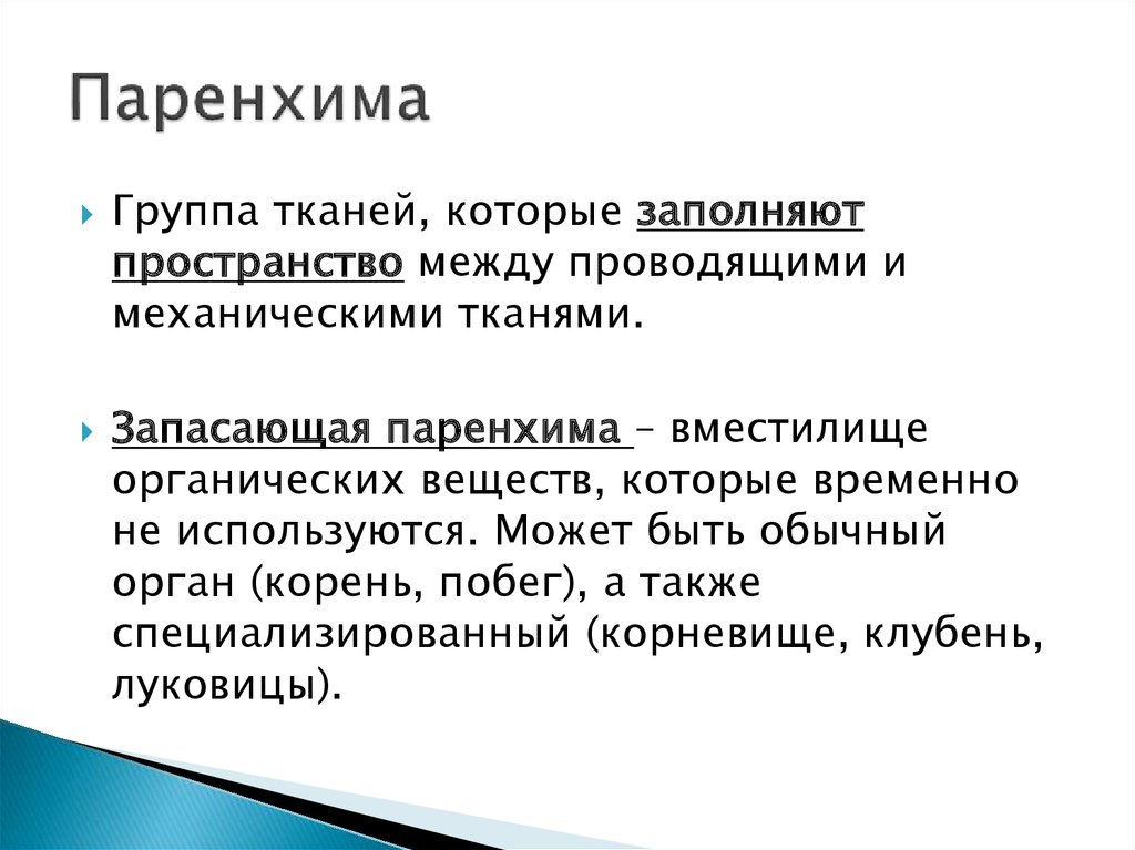 Термин 14. Паренхима. Паренхима это в медицине. Паренхима у человека. Паренхима это в анатомии.