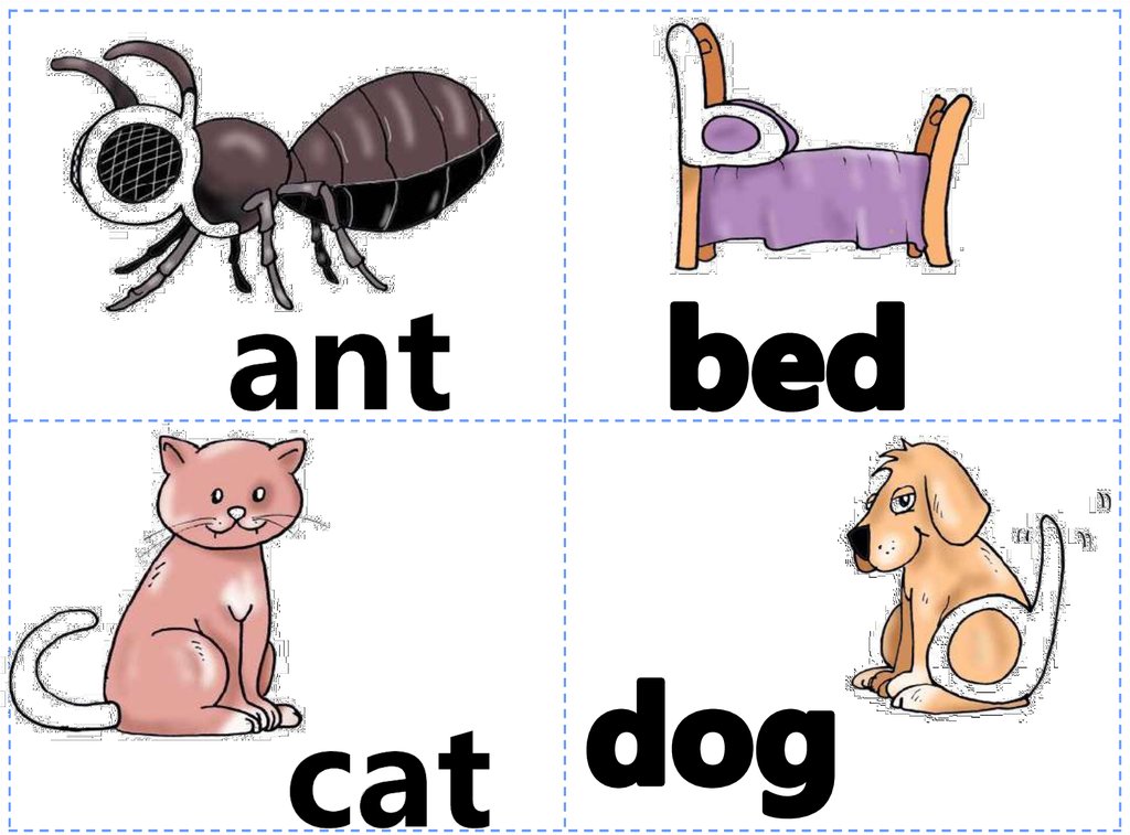 Переведи cat dog. Карточки на английском. Карточки с английскими словами Cat. Английские карточки со словами Dog. Ant карточка на английском.