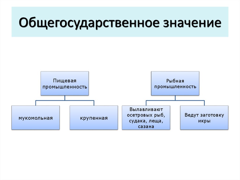 Значение пищевой промышленности. Общегосударственные вопросы. Вопрос общегосударственного значения. Структура общегосударственных вопросов.