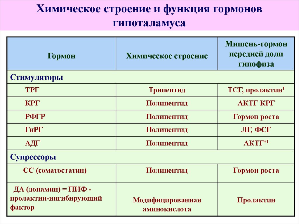 Функция передней доли гипофиза