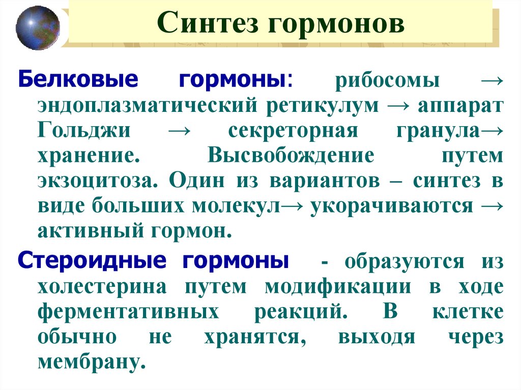 4 синтез. Синтез гормонов (белковых, стероидных, катехоламинов).. Синтез гормонов. Синтез белковых гормонов. Синтез гормонов где происходит.